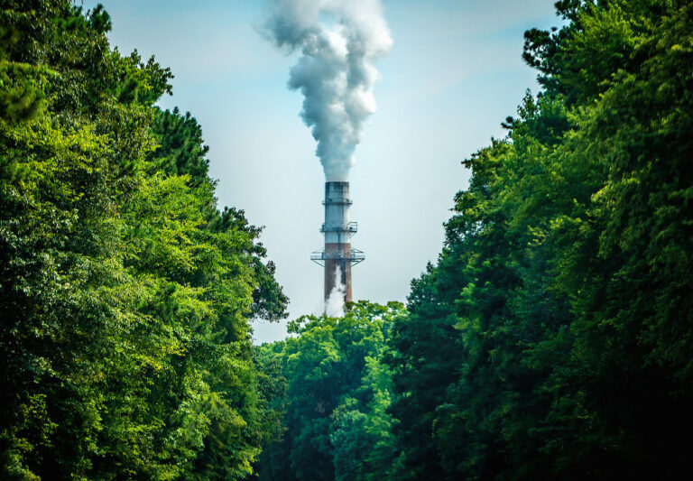 Exploring Europe’s Greenhouse Gases: A Simple Guide to Understanding Environmental Impact